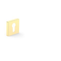 Eschutcheon for cylinder gold