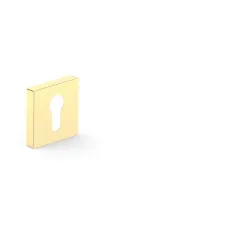 Eschutcheon for cylinder gold