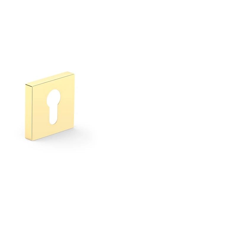 Durvju aizsargplāksnīte Metal-Bud TOTAL Q. zelta