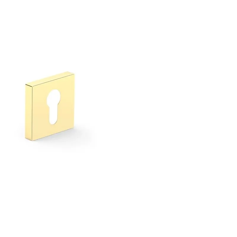 Durvju atslēgu uzlika Metal-Bud TOTAL Q, zelta