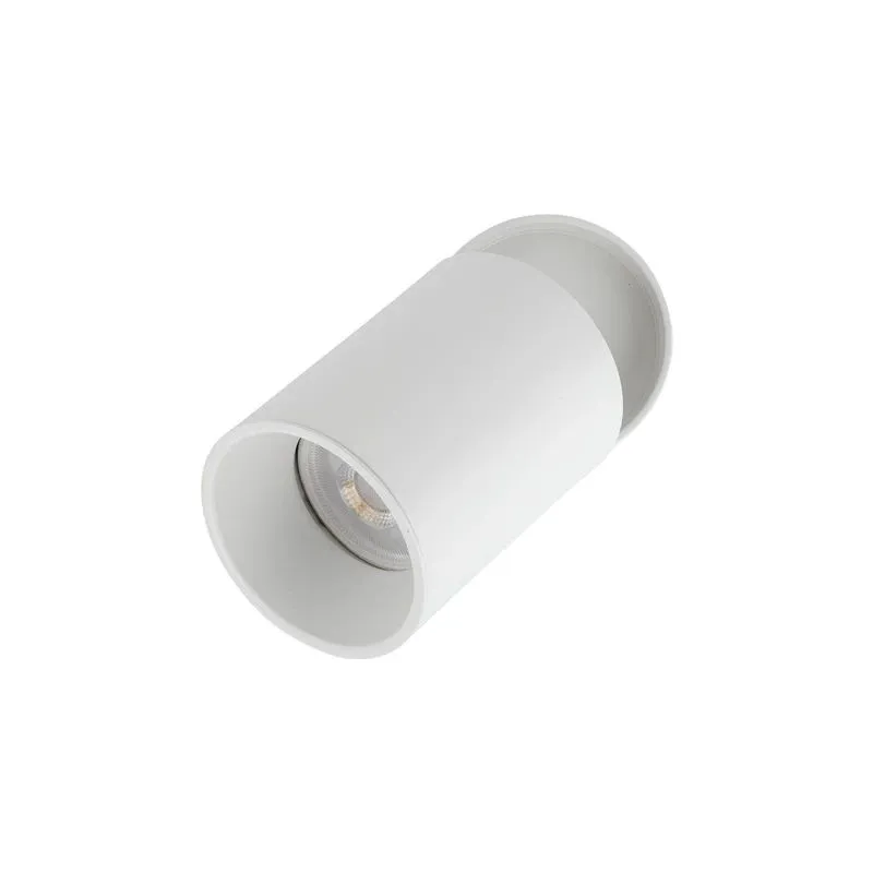 Šviestuvas nukreipiamasis TK Lighting Top 5373, GU10, 1 x 10 W