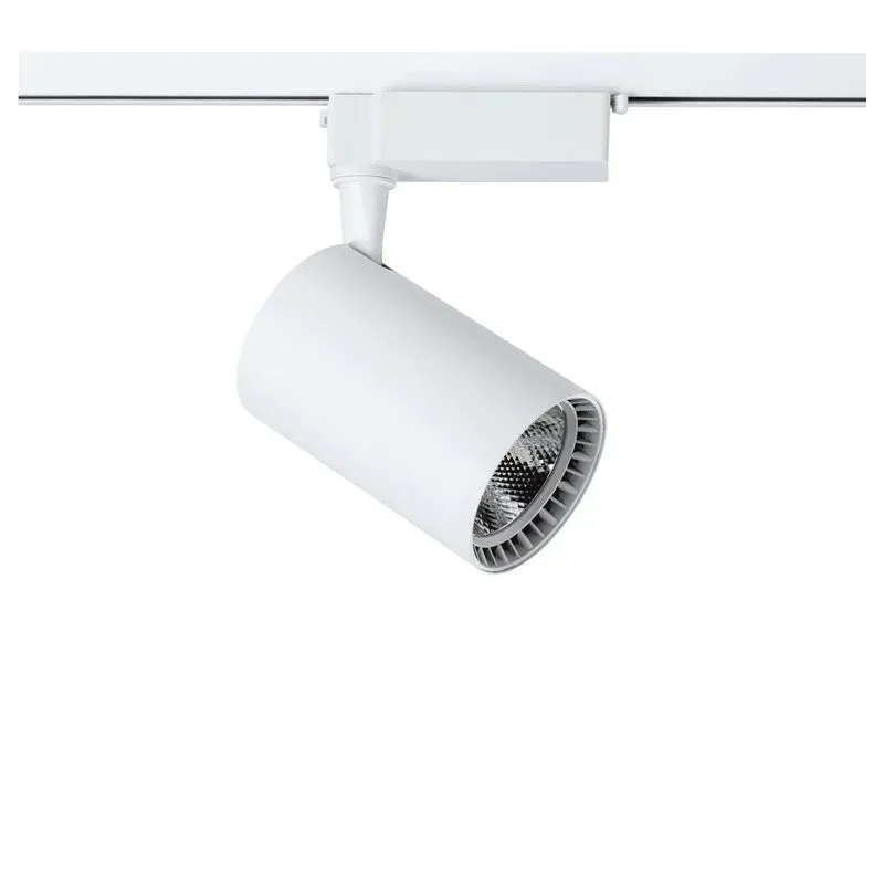 Valgusti siinide jaoks DPM X-Line STR-10W-W, LED, 4100 °K, 1 x 10 W