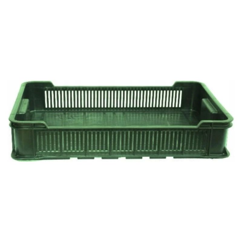 Kaste plastmasas 60x40x12cm 10kg