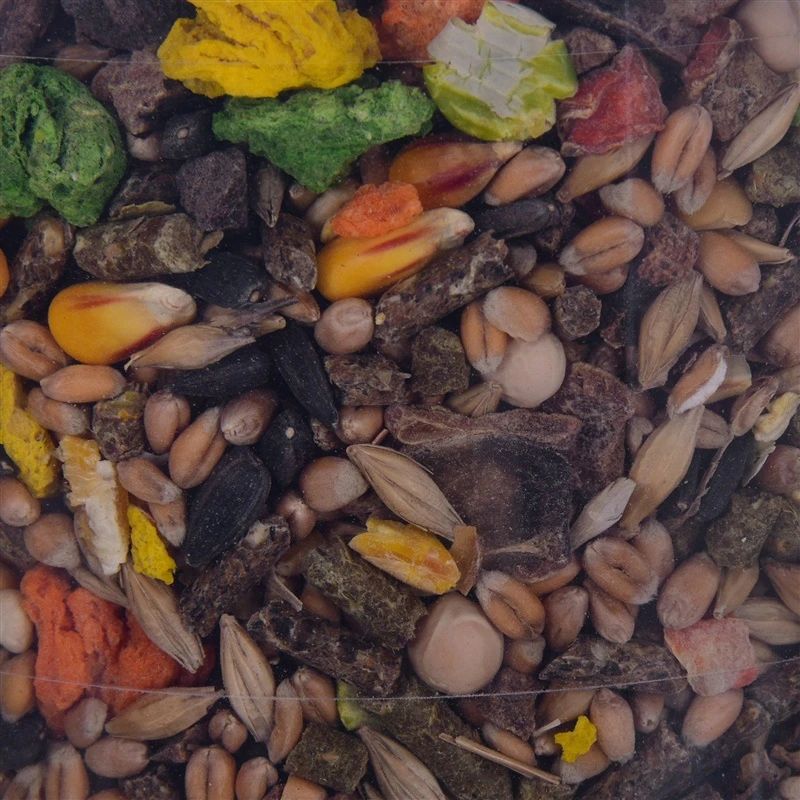 Pašaras graužikams Megan. 550 gr