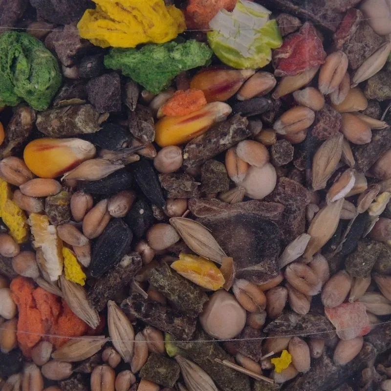 Barība grauzējiem Megan, šinšilām-trušiem-jūras cūciņām, 0.550 kg