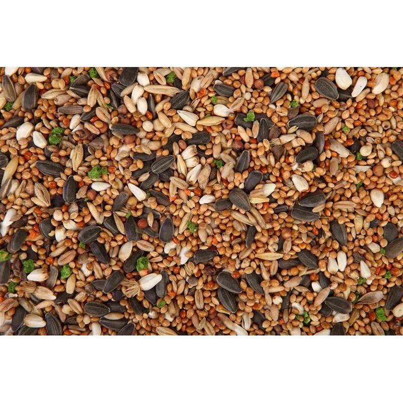 Barība vidēja izmēra papagaiļiem Megan. 650 g