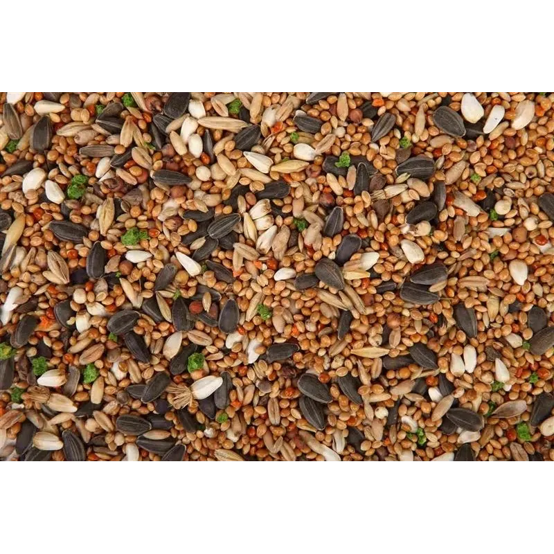 Sausa pārtika Megan, vidējiem papagaiļiem, 0.65 kg