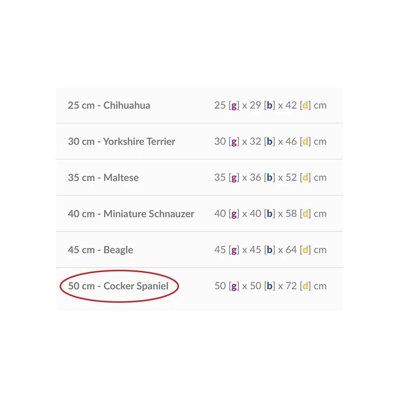 Džemperi Amiplay Denver 128569. zila-sarkana-pelēka