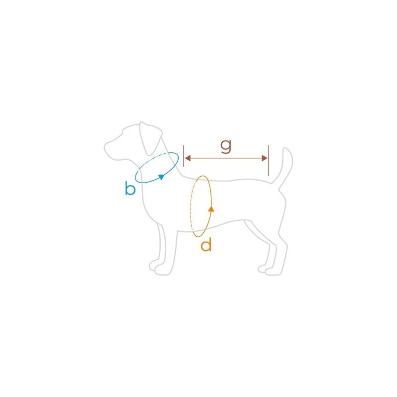 Džemperi Amiplay Texas 128675. sarkana