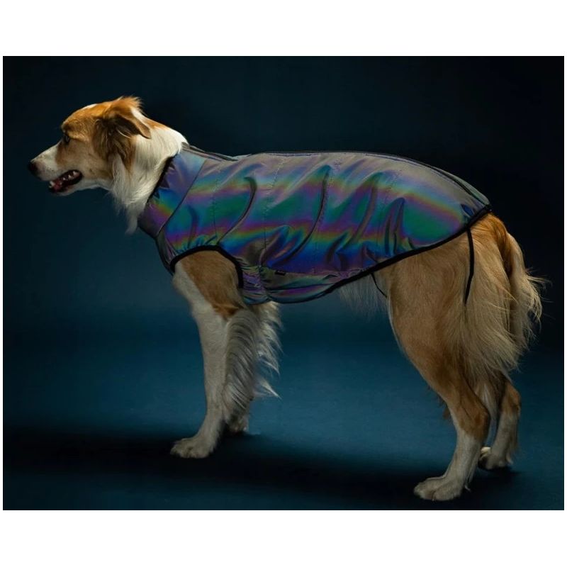 Jaka suņiem Amiplay. pelēka. 30