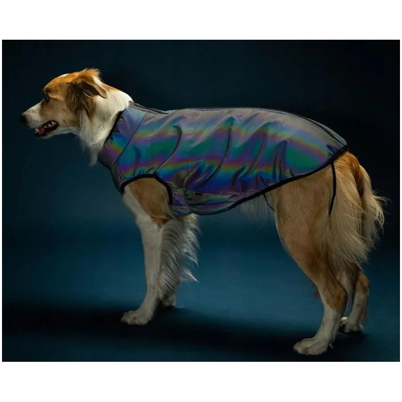 Striukė šunims Amiplay, pilka sp., 30