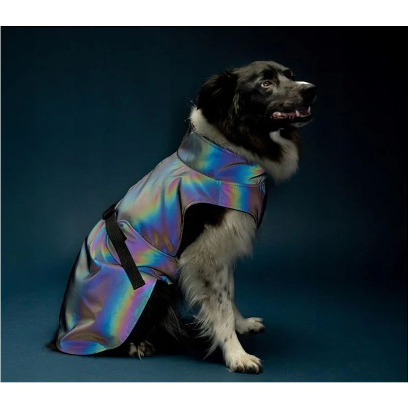 Jaka suņiem Amiplay PETROL. pelēka. 45