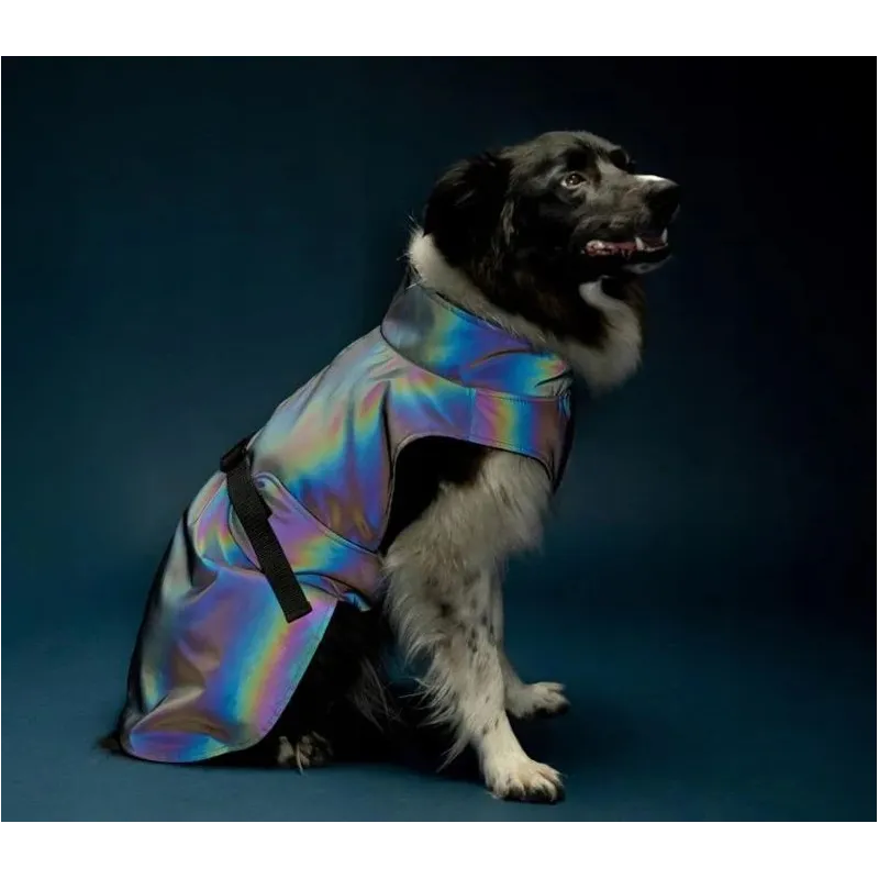 Jaka suņiem Amiplay Petrol, pelēka, 45