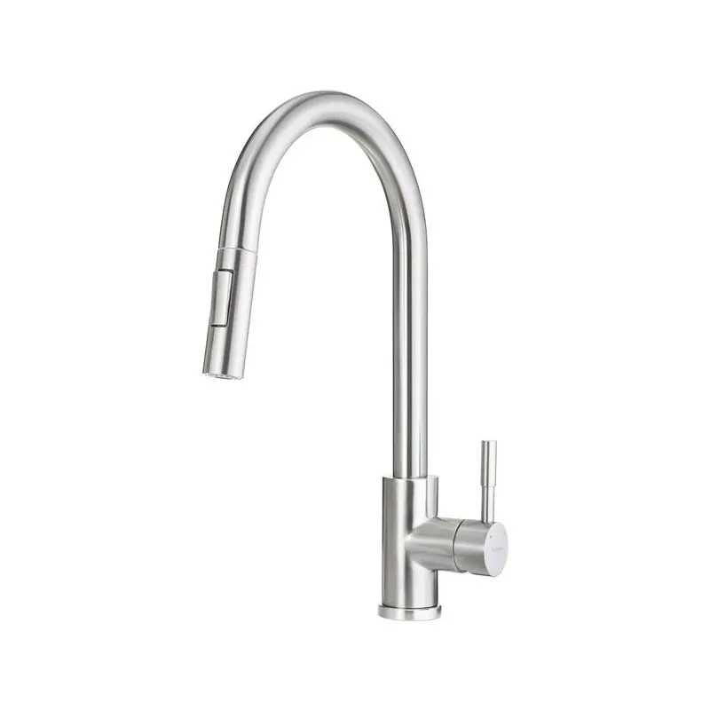 Virtuves jaucējkrāns Deante Lima BBM_F72M, nerūsējošā tērauda krās.