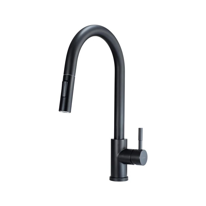 Virtuves jaucējkrāns Deante Lima BBM_N72M. melna