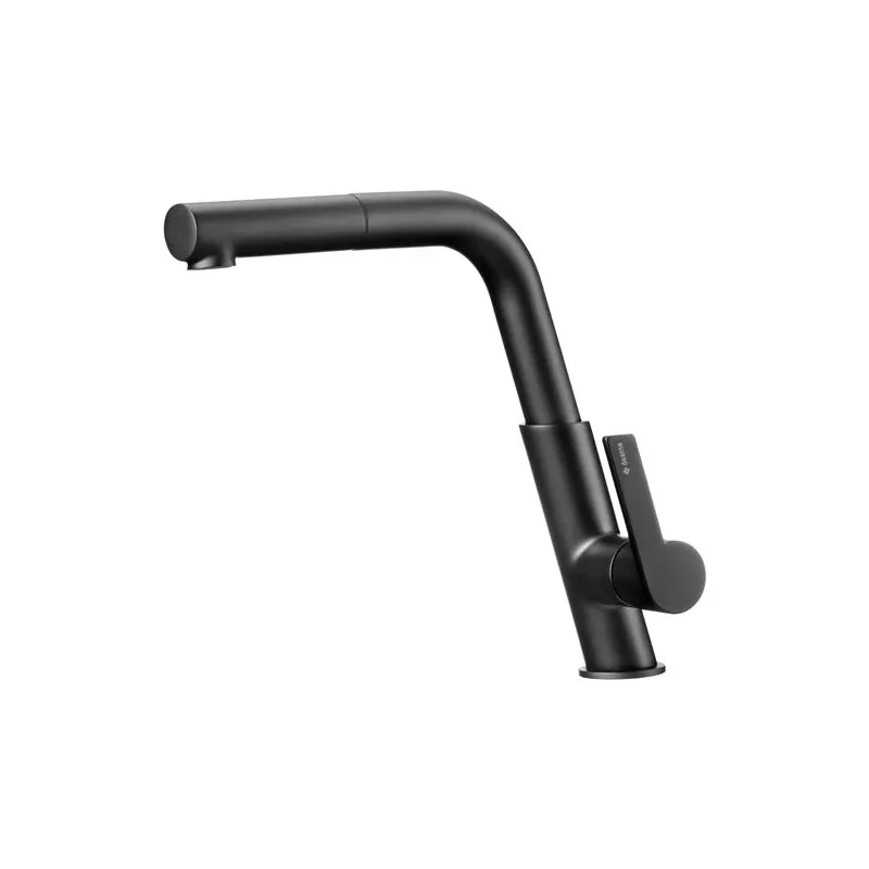 Virtuvinis maišytuvas Deante Silia BQS_N73M, juoda sp.