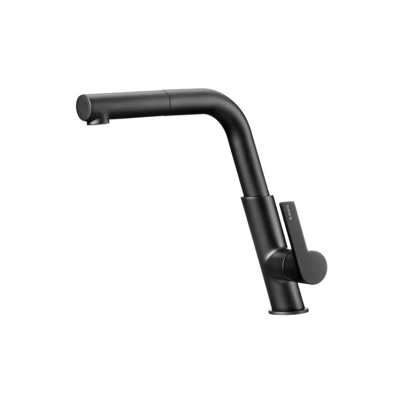 Virtuves jaucējkrāns Deante Silia BQS_N73M. melna