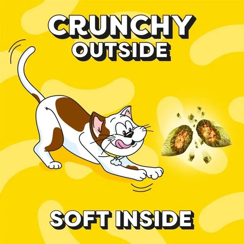 Snack for cats dreamies catnip 60g