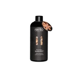Aromatizators RENTO WINTER SPICE 400ml