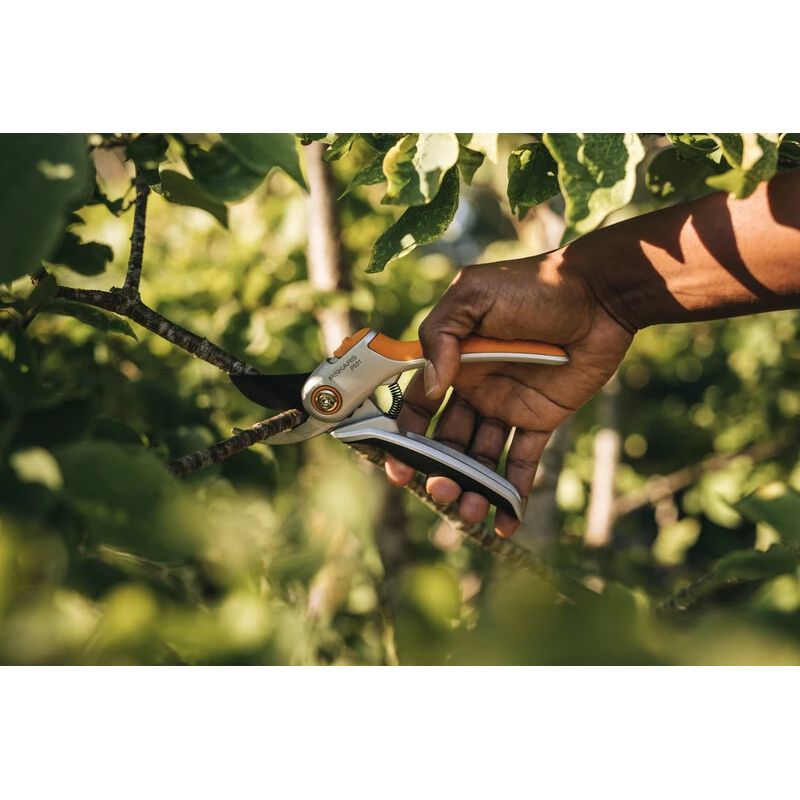 Grieznes plus bypass metal p531