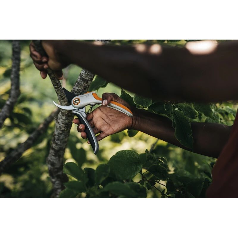 Grieznes plus bypass metal p531