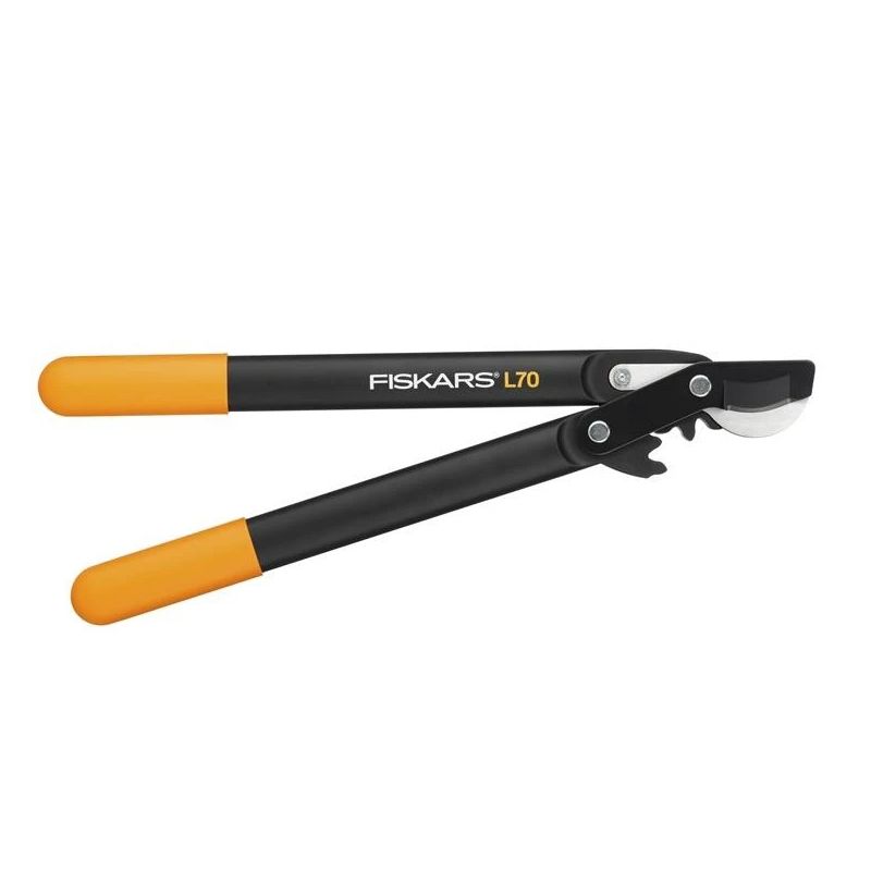 GRIEZNES DĀRZA ĀĶVEIDA ASMENS ,S,. 46cm. 38 mm