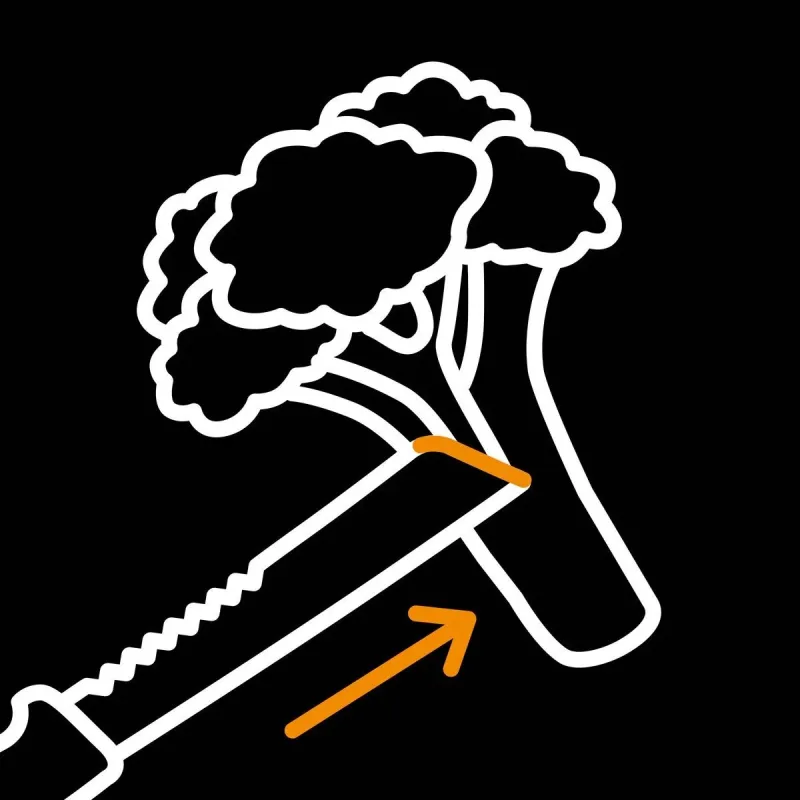 Sodo peilis x-series k82 1062830 fiskars