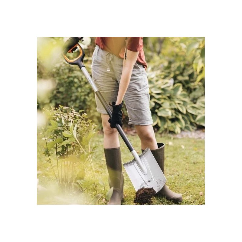 Lāpsta trula xact l 1066730