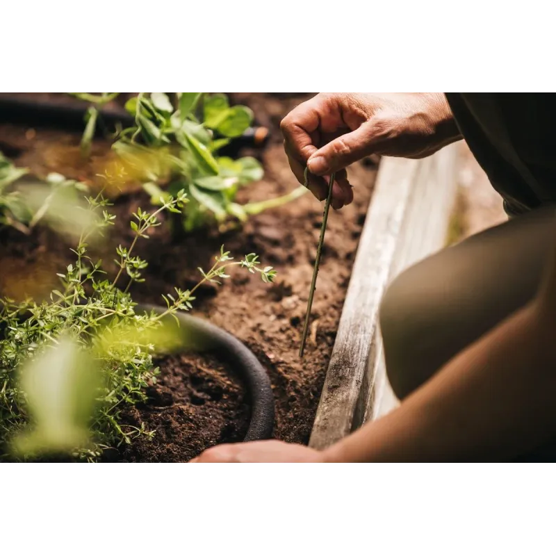 Kapilāras laistīšanas šļūtene 15m