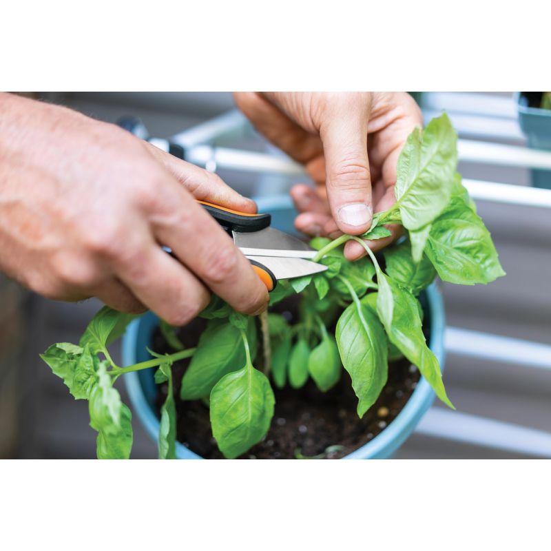 Fiskars garšaugu griezējs 1063326