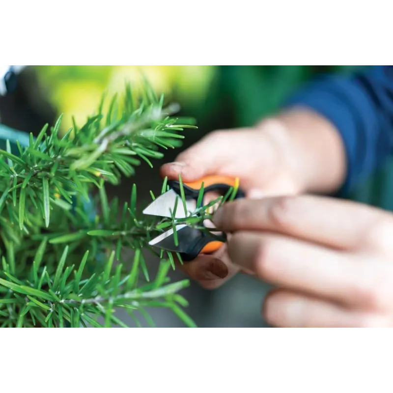 Virtuves šķēres Fiskars SP-220, 205 mm