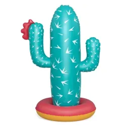 Sodo vandens žaidimas Bestway Cactus, 74 cm x 56 cm