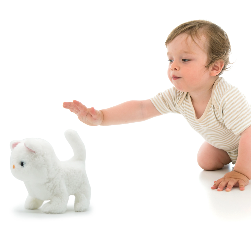 PUGS AT PLAY Staigājošs kaķis "Casper"