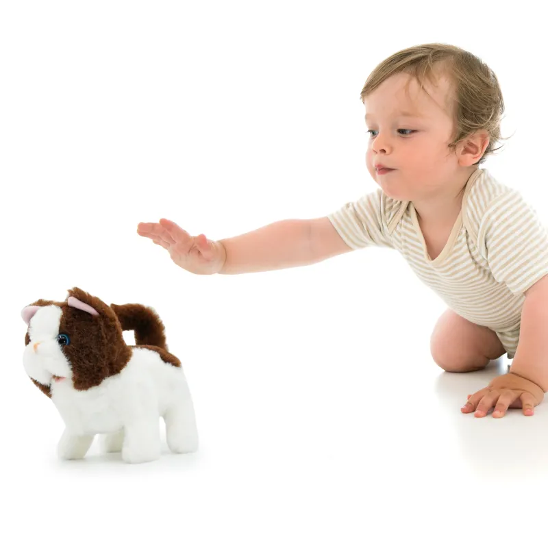 PUGS AT PLAY Staigājošs kaķis Bella