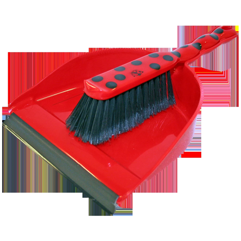 Liekšķere ar slotiņu Coccinella ,24,