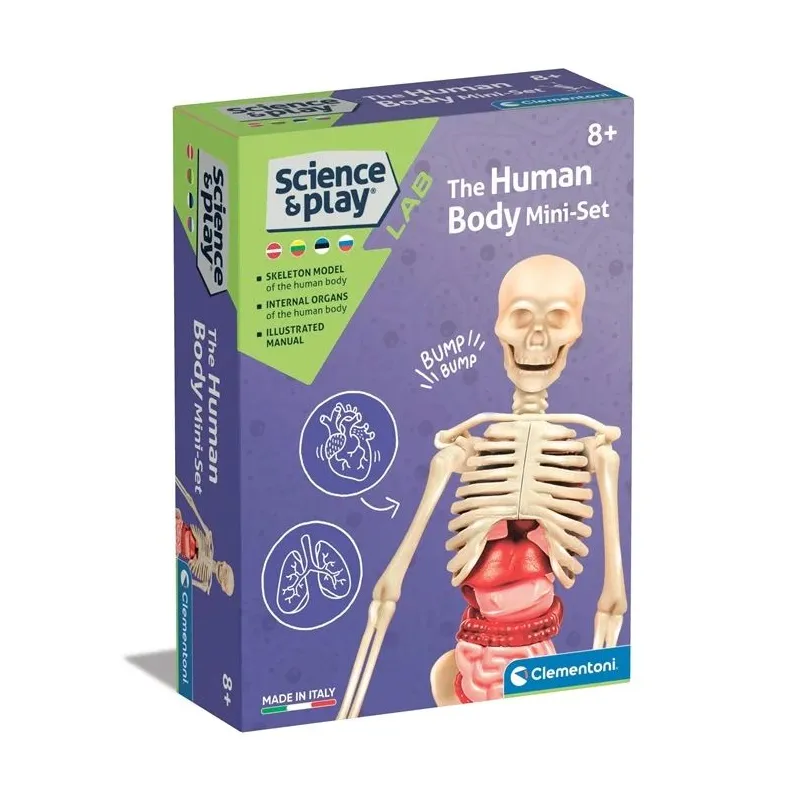 Edukacinis žaislas Clementoni The Human Body Mini-Set