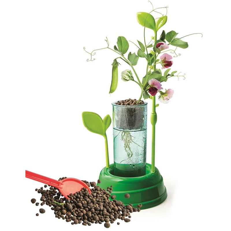 Radošais komplekts Clementoni Botany 50924