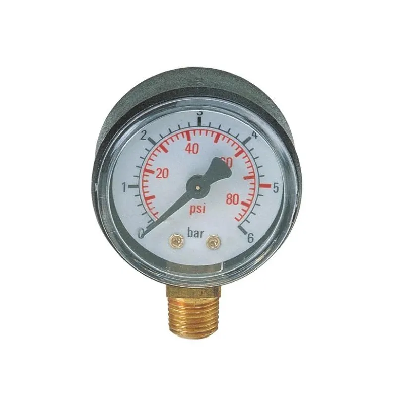 Manometras Speroni, 40 mm, 6 Bar