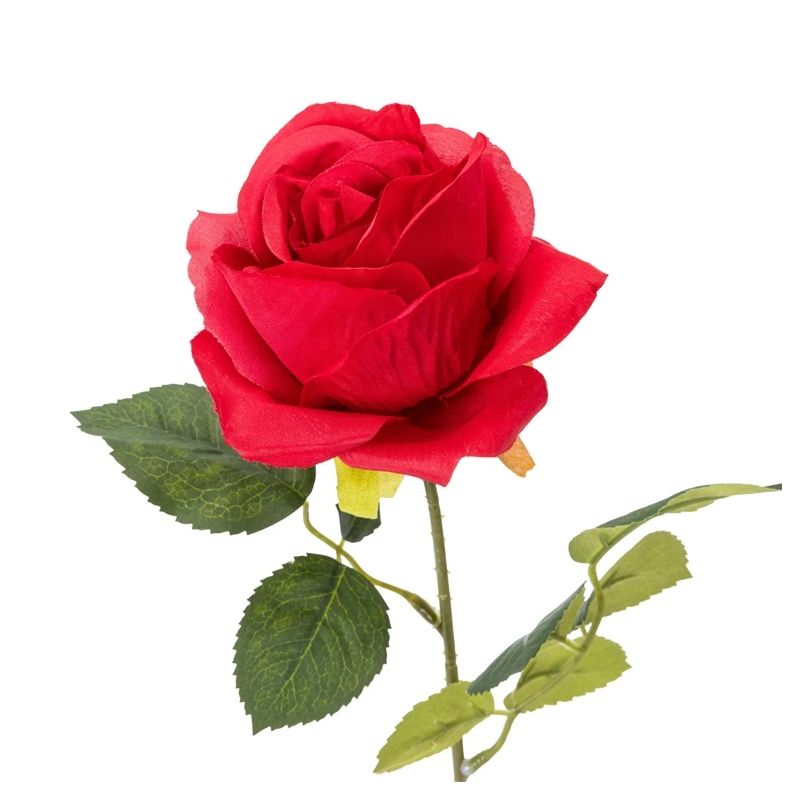 Pievads lokanais 30cm acb 3-8mf ,"tucai s.a.,