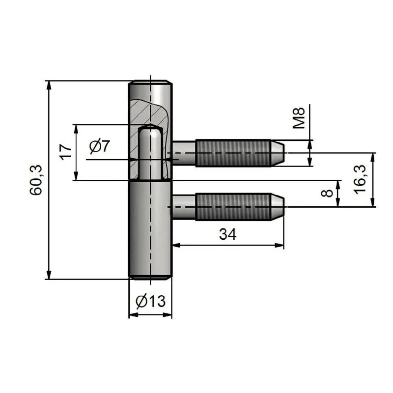 Logu eņģe 13x60 zn dzeltena
