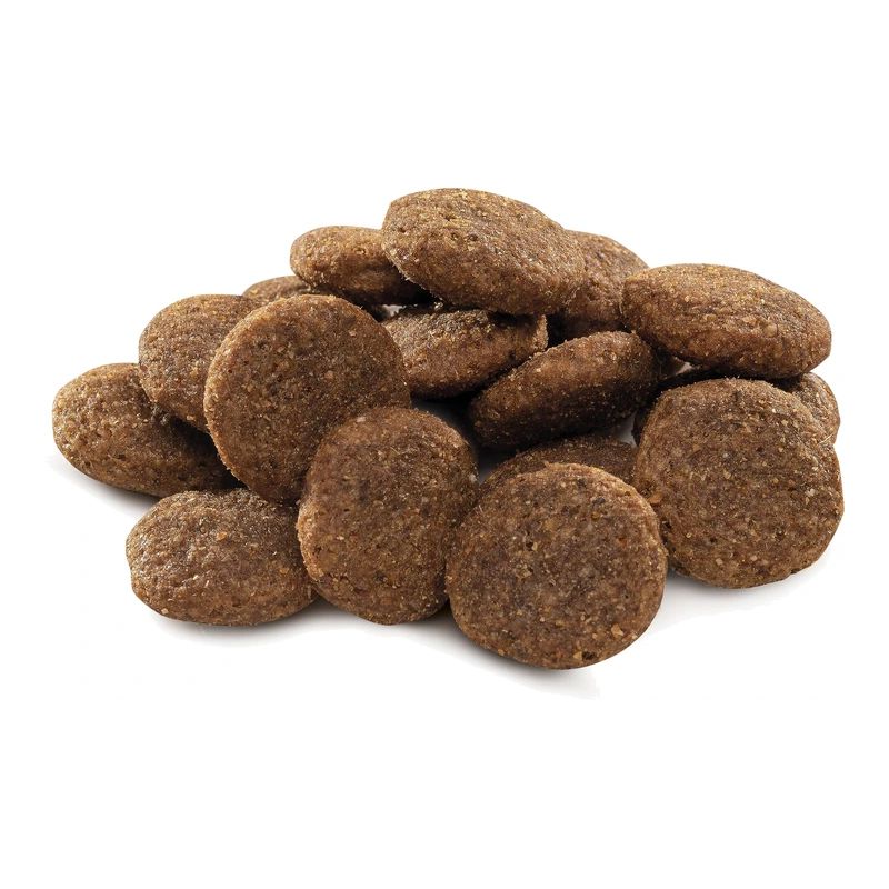 Suņu barība premium adult large