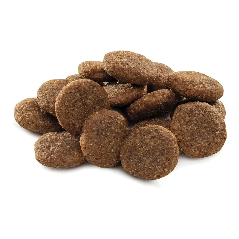 Dog food premium adult large