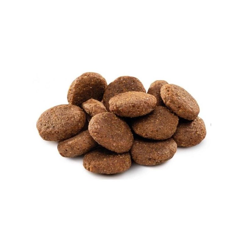 Suņu barība brit premium senior large