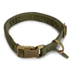 Collar velura green 20-30x10