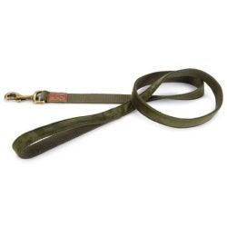 Pavada Lotte. zaļa. 1.2 m x 15 mm