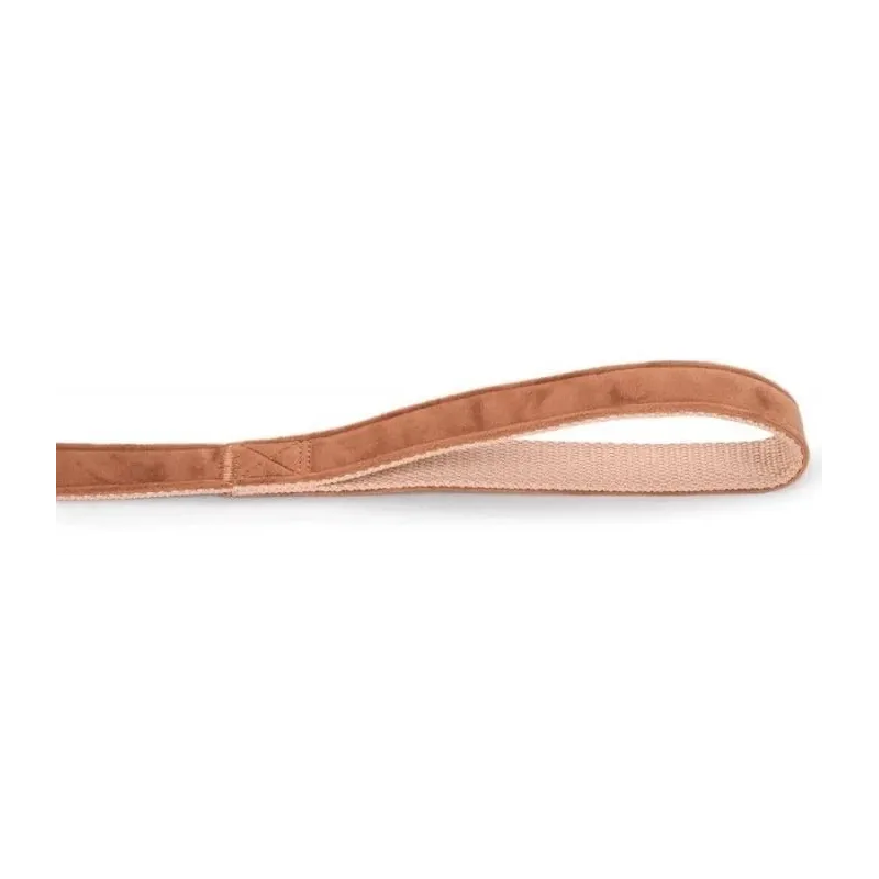 Leash velura pink 120x15