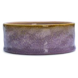 Bļoda dzīvniekiem Beeztees. 0.45 l. 13.5 cm x 13.5 cm