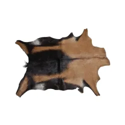 Karusnahk Esbeco, 70 cm x 55 cm