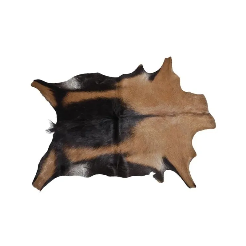 Kažoks Esbeco, 70 cm x 55 cm