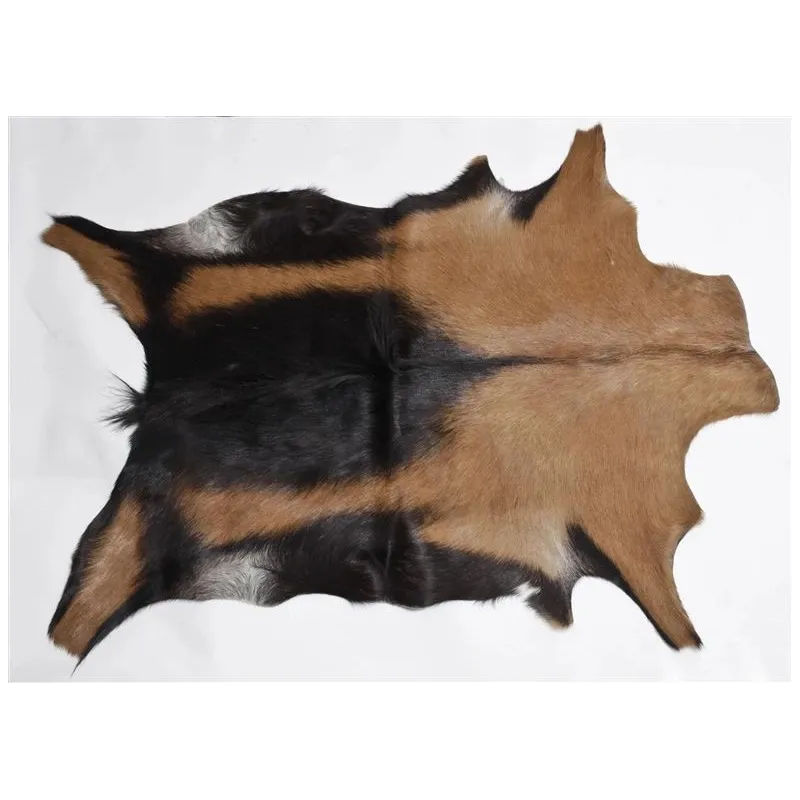 Kailis Esbeco, 70 cm x 55 cm